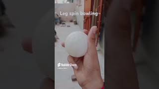 how to bowl perfect leg spin bowling  100 perfect bowling  shorts cricketlover spin legspin [upl. by Divadleahcim]