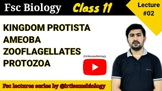 72 kingdom protista  Protozoa  Amoeba  zooflagellates  biology class 11 chapter 7 [upl. by Garrison]