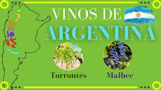 Vinos de ARGENTINA 🍇 Uvas y regiones vinícolas [upl. by Keely]