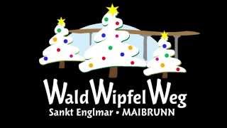 Waldwipfelweg Wintermärchen [upl. by Enelec54]