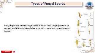 Fungal Asexual spores  Types of fungal spores part1 mycology spore microbiology [upl. by Attenor279]