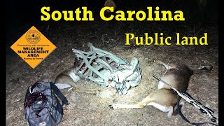 A Classic SC Public Land Deer Hunt [upl. by Snahc]