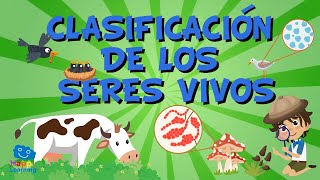 LA CLASIFICACIÓN DE LOS SERES VIVOS Vídeos Educativos para Niños [upl. by Yentrok]