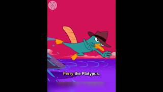 What Is A Platypus Perry The Platypusfacts4u viralvideo shorts [upl. by Noinatrad]