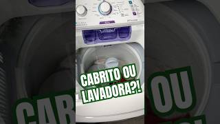 Cabrito ou Lavadora Máquina de lavar Electrolux 85kg turbo economia com jetampclean lac09 [upl. by Kihtrak]