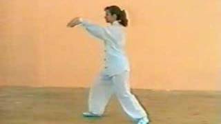 Simplified Taijiquan Form 24 [upl. by Moskow]