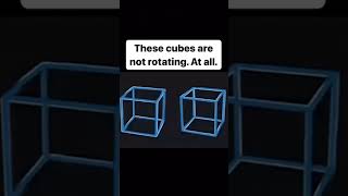 This cubes are not moving At all edit [upl. by Nolos]