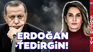 Başak Demirtaşın Adaylık Hamlesi Erdoğanı Tedirgin Etti Altan Sancar O Detayı Anlattı [upl. by Hannaoj]