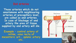 End arteries functional end arteries [upl. by Notsud594]