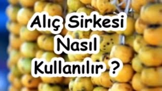 Alıç Sirkesi Nasıl Kullanılır [upl. by Attemaj878]