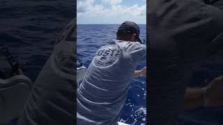 MaritimeExpeditions BAHAMAS Bottom FISHING SNAPPER bahamas [upl. by Eed834]