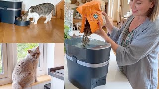 Petsafe Smart Feed Automatic Dog and Cat Feeder Review [upl. by Chien]