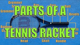 Parts of a Tennis Racket Explained [upl. by Wardlaw939]