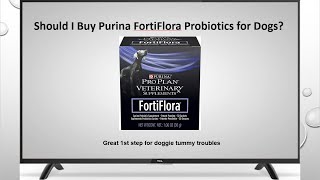 Should I buy Purina FortiFlora Probiotics for Dogs [upl. by Nemlaz]