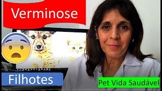 Verminose em Filhotes de Cães e Gatos Como e Quando Vermifugar Pet Vida Saudável [upl. by Berti308]