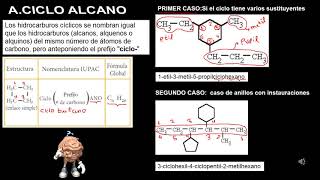 Hidrocarburos cíclicos y aromáticos [upl. by Hedva]