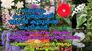 🪴😱 ഏവരും ആഗ്രഹിക്കുന്ന ചെടികൾ  പുത്തൻ ചെടികൾ വാങ്ങാം ഓൺലൈനായിgardening [upl. by Lorianna]