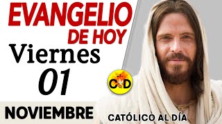 Evangelio del día de Hoy Viernes 01 de Noviembre de 2024 Lectura Reflexión católica evangeliodehoy [upl. by Cotsen]