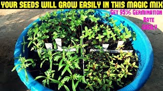 How To Grow Flower Seeds FastGet 9095 Germination Rate Easily With Updates [upl. by Atteuqahc]