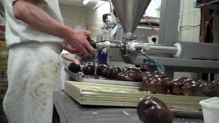 Bossche Bollen van Jan de Groot [upl. by Enilauqcaj]