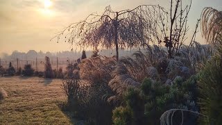 Dzisiaj zapraszam Was na spacer o wschodzie słońca 🥰 [upl. by Coppock]