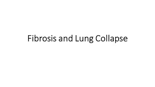 Fibrosis amp Lung Collapse [upl. by Breen567]