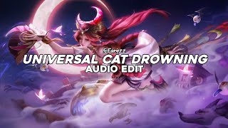 universe cat drowning endless endless endless  kikou edit audio [upl. by Breech]