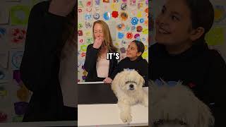 Candy thats dog food 🤔 shorts short youtubeshorts youtubeshort funny fyp viralvideo viral [upl. by Yanehs]