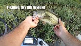 Fishing the Big Weight Around Shoreline Grass on the Occoquan Reservoir [upl. by Eudosia]