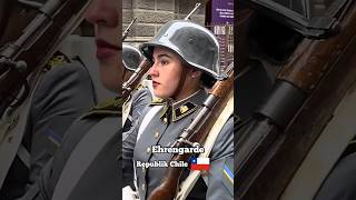 Chile vs Deutschland  die Ehrengarde 🦅🇩🇪wachbataillon bundeswehr militär tradition garde [upl. by Mendelsohn897]