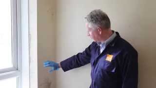 How to treat mould using a mould cleaning kit [upl. by Leventis975]