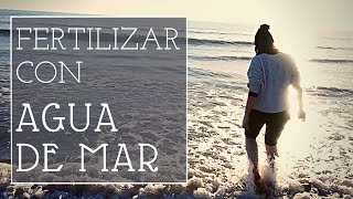 Cómo fertilizar con AGUA de MAR gratis [upl. by Llirrehs]