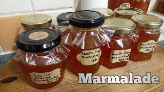 Marmalade  Easy Recipe [upl. by Halehs]