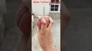 Wide Yorker bowling tutorial 😱💯 viral shortvideo [upl. by Evangelina]