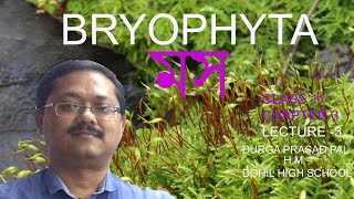 biology class 11 ncert chapter 3 banglabryophyta bengali ব্রায়োফাইটা plant kingdom moss [upl. by Eninotna224]