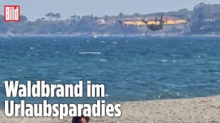 Korsika Löschflugzeug holt vor UrlauberStrand neues Wasser [upl. by Robma273]