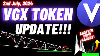 VGX Token Crypto Coin Update  2nd July 2024 [upl. by Miki]