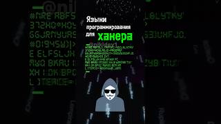 Языки программирования для хакера pentesting programming ethicalhacking python js hack [upl. by Esele]