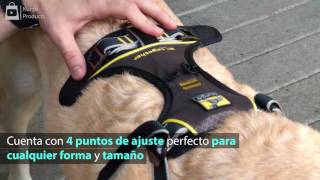 Arnés para perros en el auto [upl. by Adaner]