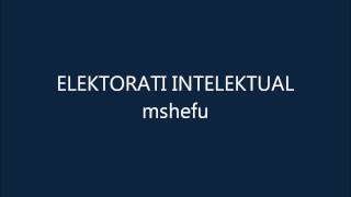 Elektorati Intelektual  MSHEFU [upl. by Woodberry]