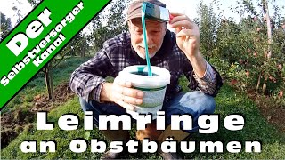 Leimringe an Obstbäumen [upl. by Bess]