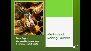 3 Methods of Raising Queens [upl. by Tabbatha]