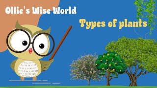 Plant Types Explained Trees Shrubs Herbs Climbers Creepers [upl. by Princess]