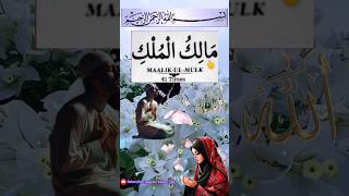 Sine pe hath rakh kar padhle 41 martaba dua 🤲📿💯dua wazifa youtubeshortislam islamicvideoshorts [upl. by Eisset]