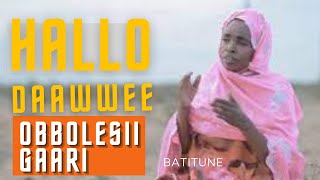 HALLO DAAWWEE  OBBOLEESI GAARIOROMO MUSIC [upl. by Lateehs]