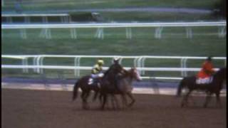 Triple Crown Winners Secretariat Seattle Slew and Affirmed [upl. by Merv]