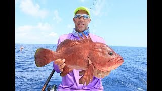 Awesome trip Offshore Fishing in Quepos Costa Rica [upl. by Melisandra]