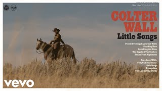 Colter Wall  Honky Tonk Nighthawk Audio [upl. by Rosamund266]