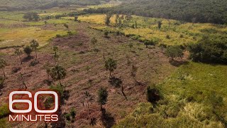 What Exactly Killed The Dinosaurs  Earth  BBC Earth Science [upl. by Arraek230]