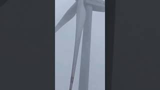 Windmill wind turbine farm Pakistan greenenergy foryou renewableenergy 10mviews shortvideo fyp [upl. by Boice651]